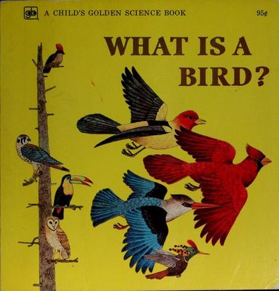 What is a Bird