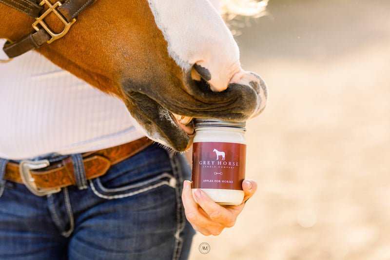 Grey Horse Candle Company - Apples For Horses Soy Candle