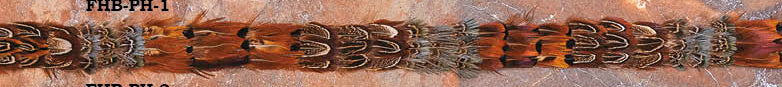 Feather Hatband - Straight Natural