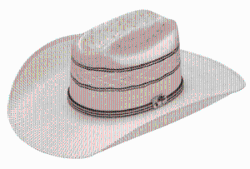 Alamo Bangora Hat Ivory/Tan