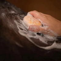 Bex Bar Soap