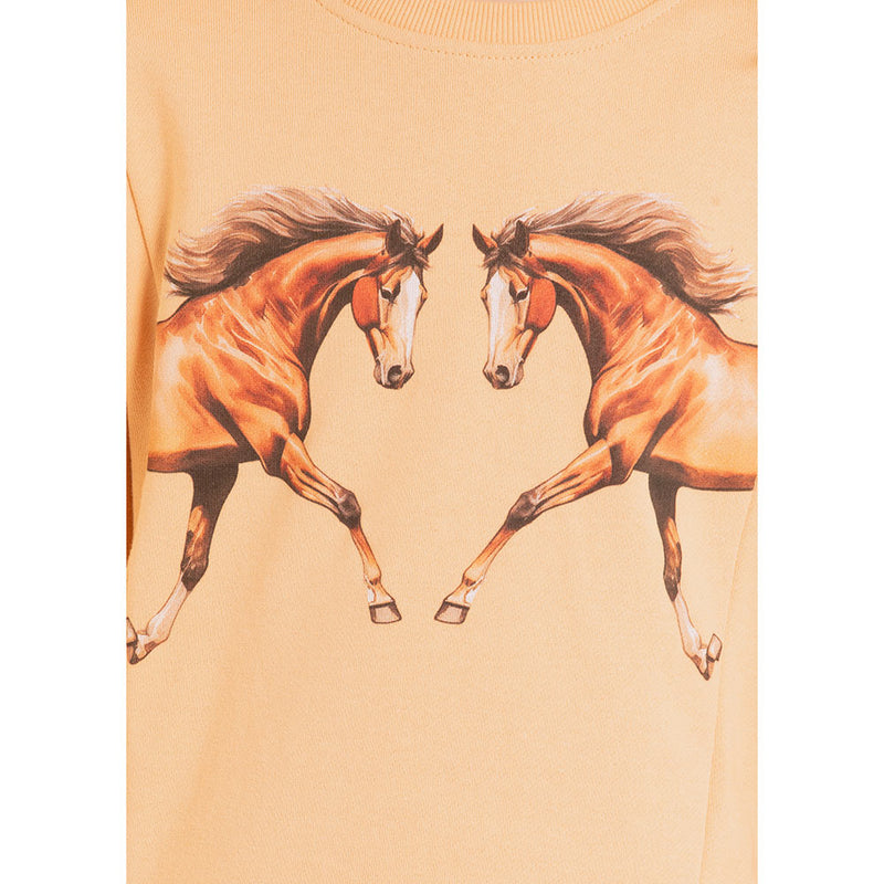 Youth Horse Graphic Pullover