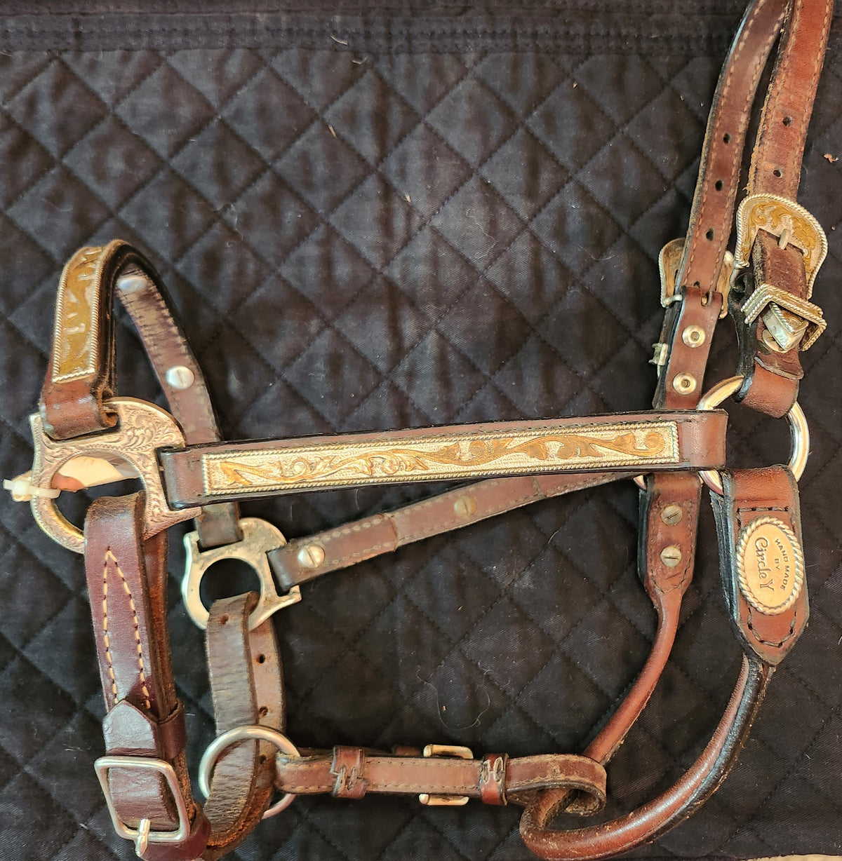 Circle Y Leather Show Halter/Silver