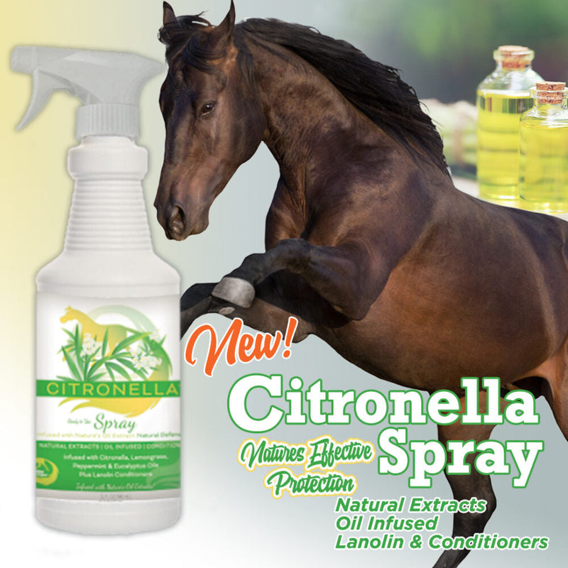 Horse Citronella Spray for Coat, Mane & Tail by Healthy HairCare #HCHSP32