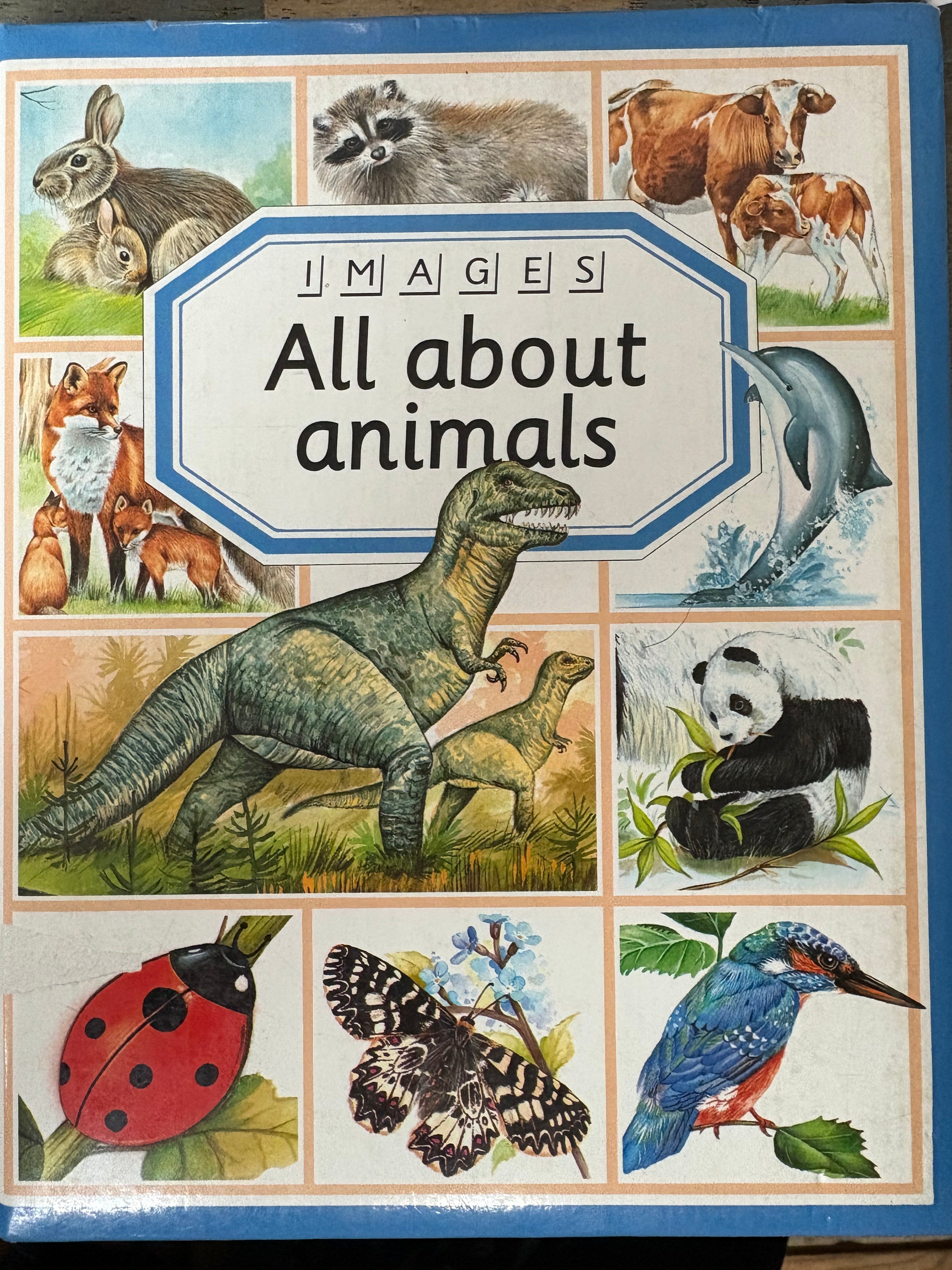 Images All About Animals Book