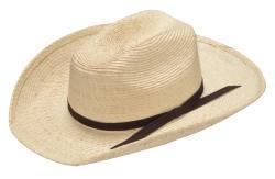 Alamo Palm Infant Hat