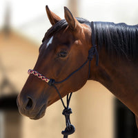 Kensington Clinician Rope Halter