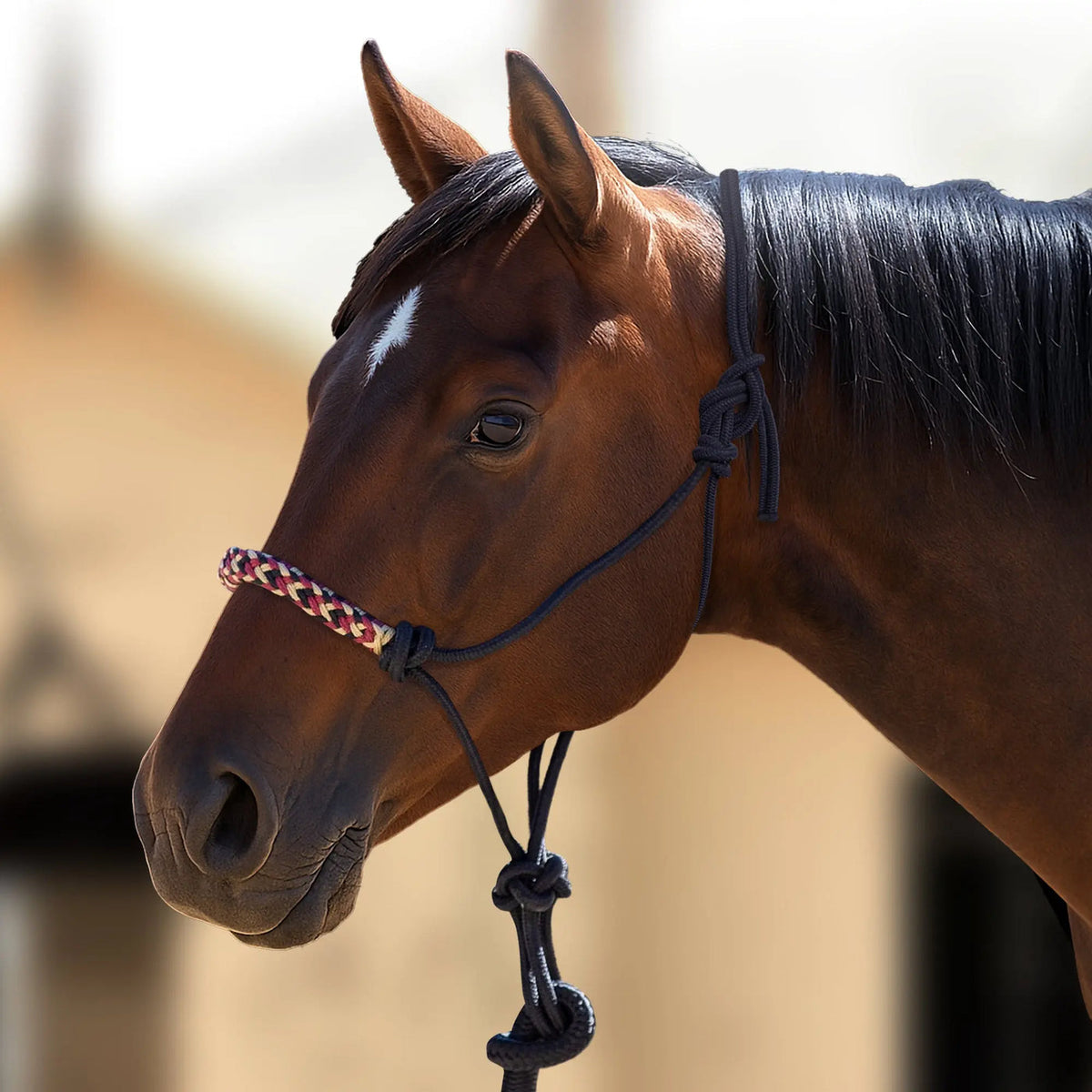 Kensington Clinician Rope Halter