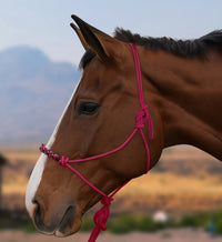 Kensington Clinician Rope Halter
