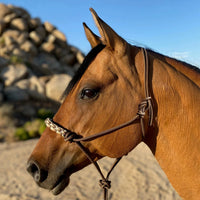 Kensington Clinician Rope Halter