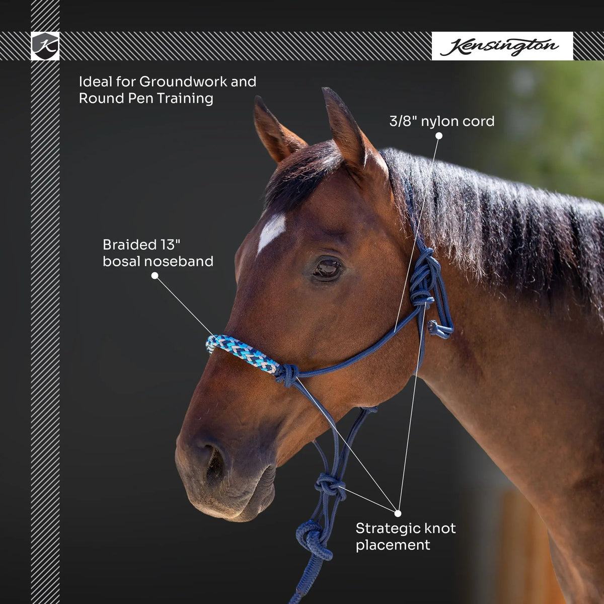 Kensington Clinician Rope Halter