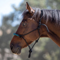 Kensington Clinician Rope Halter