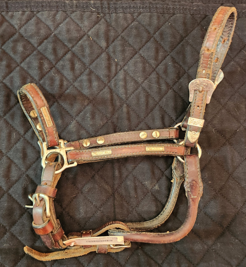 Leather Show Halter w/Silver
