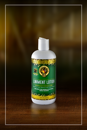 Essential Equine LINIMENT LOTION