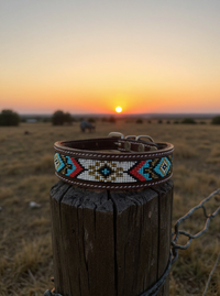 Epic Padded Leather Dog Collar with Beaded Design N