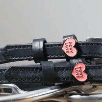 Dreamers & Schemers Spur Straps