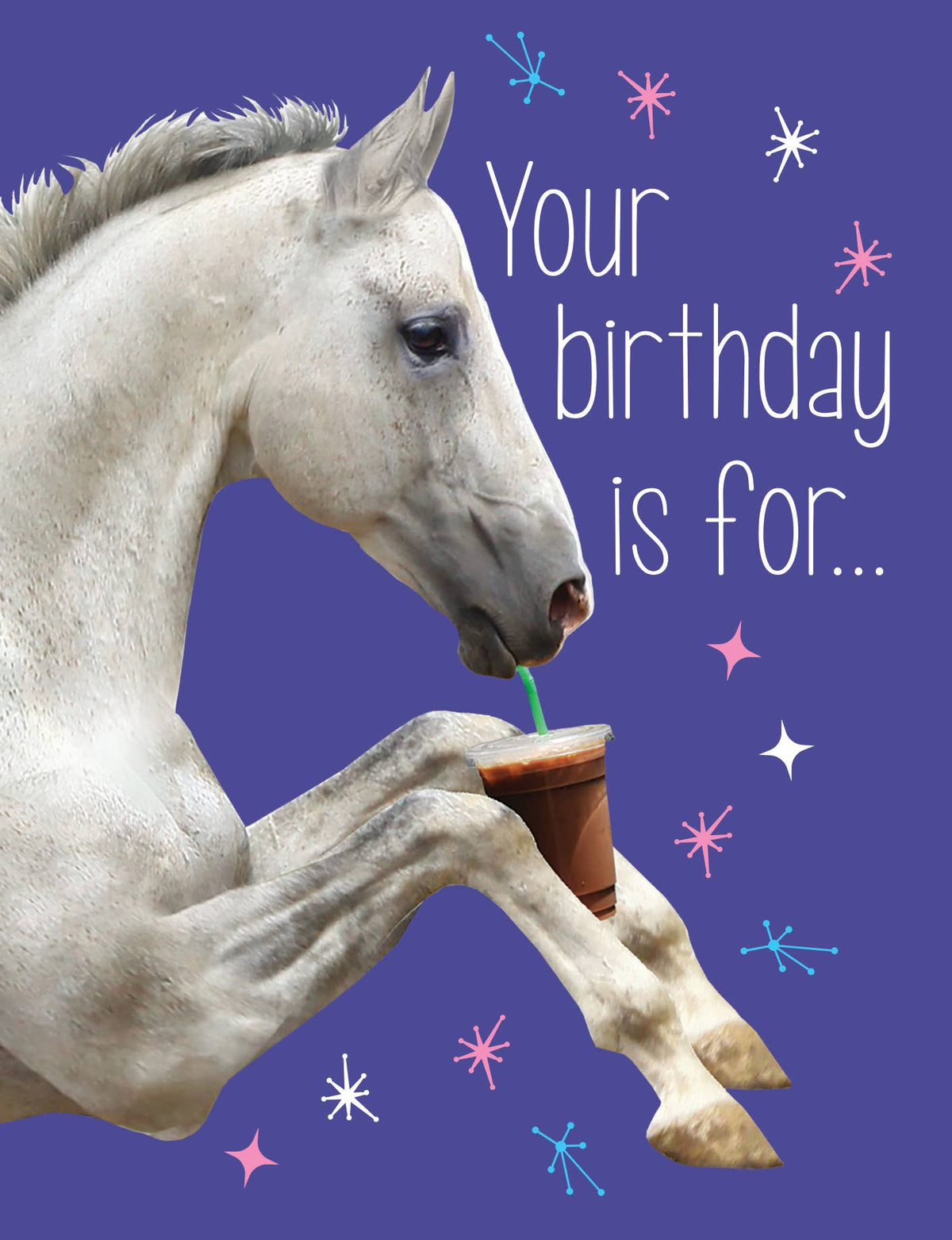 Horse Hollow Press - Horse Birthday Card | Starbucks