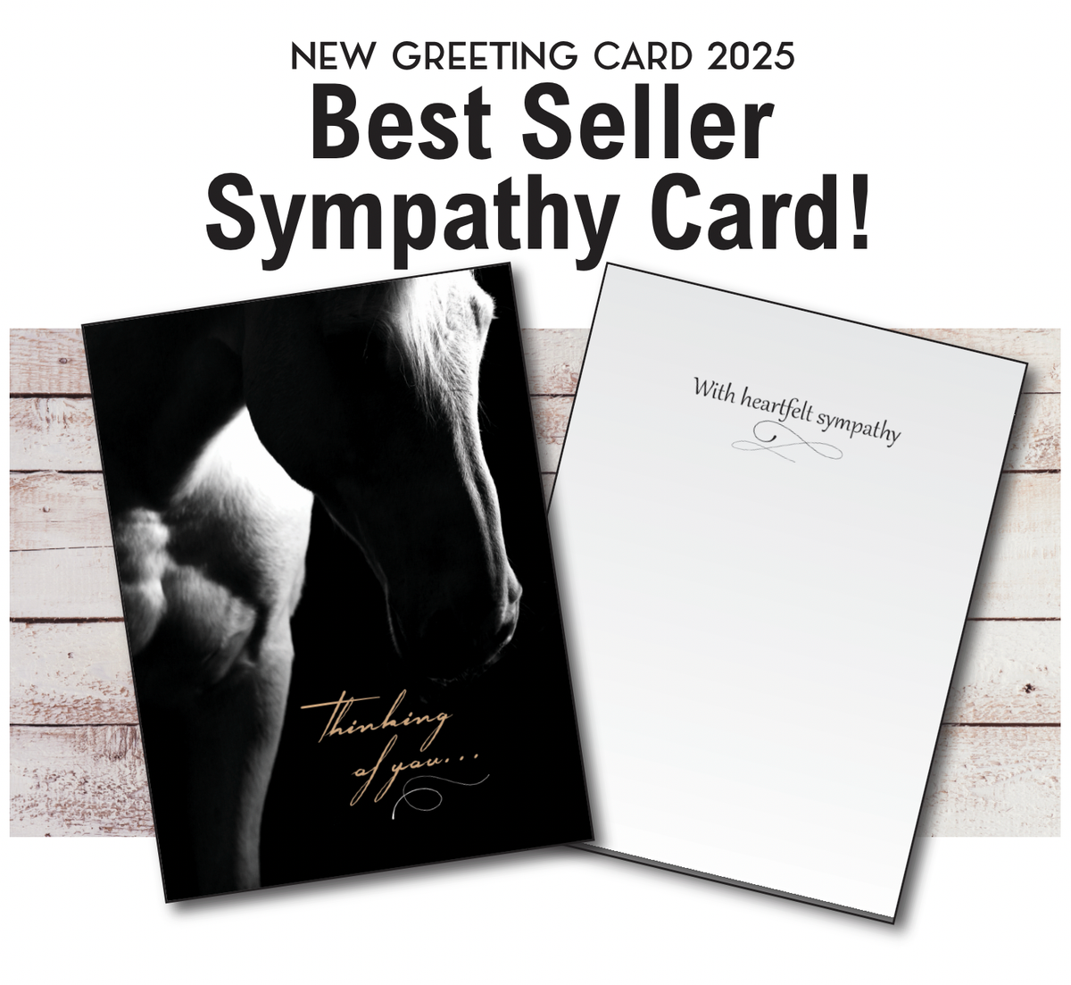 Horse Hollow Press - Horse Sympathy Greeting Card | Thinking of you