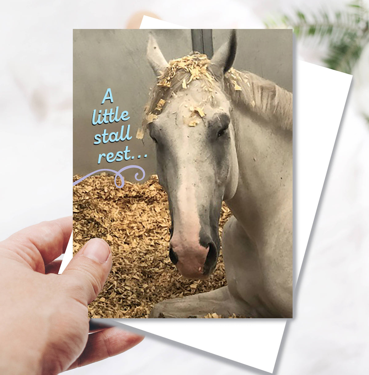 Horse Hollow Press - Horse Get Well Card | Stall Rest