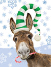Horse Hollow Press - Donkey Boxed Christmas Cards / Candy Cane / 8 Holiday Cards