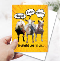Horse Hollow Press - Horse Birthday Card | Nicker, Neigh