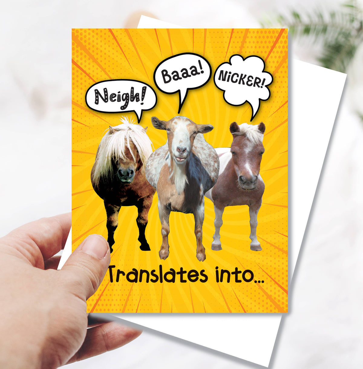 Horse Hollow Press - Horse Birthday Card | Nicker, Neigh