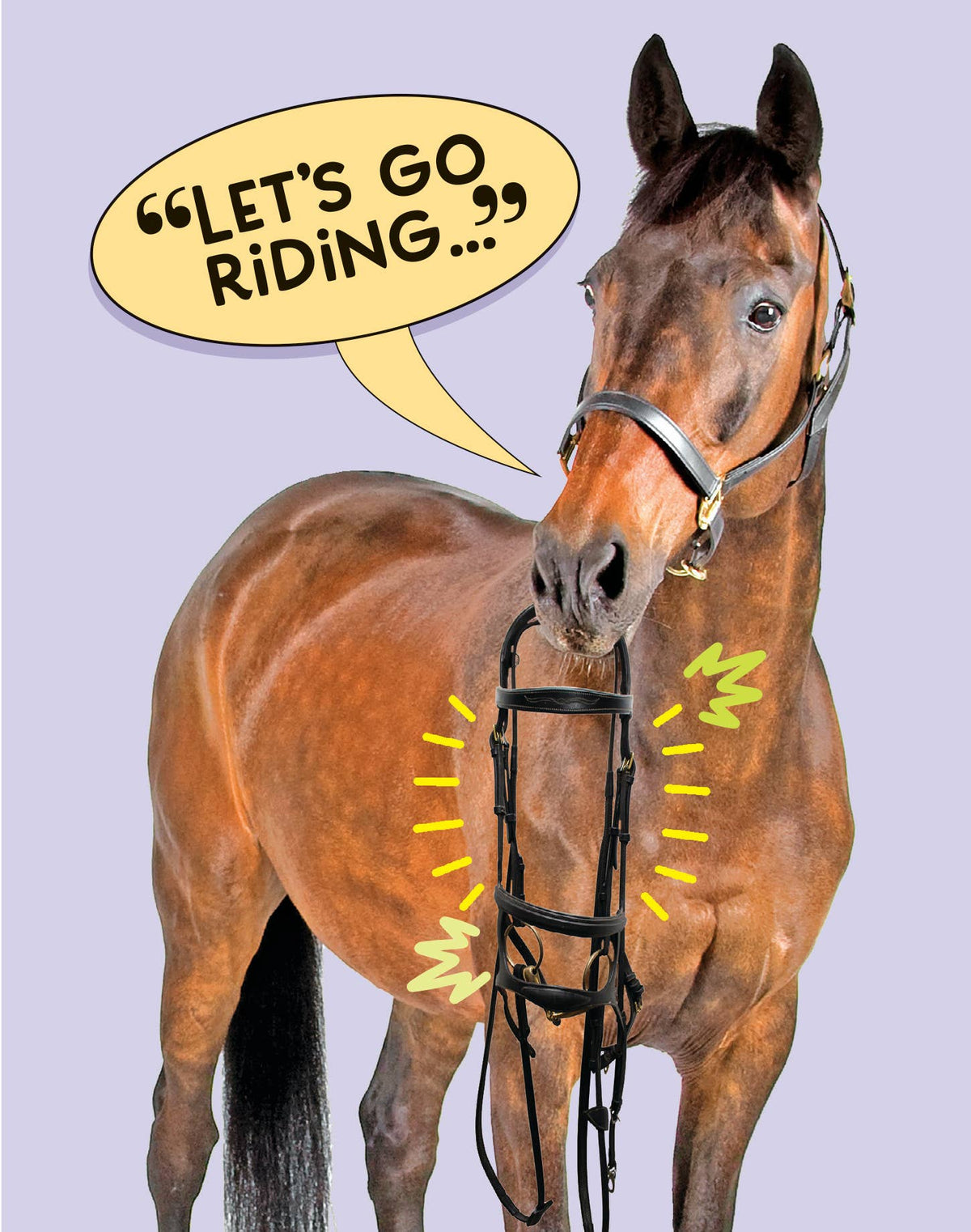 Horse Hollow Press - Horse Birthday Card | Let's Go Riding