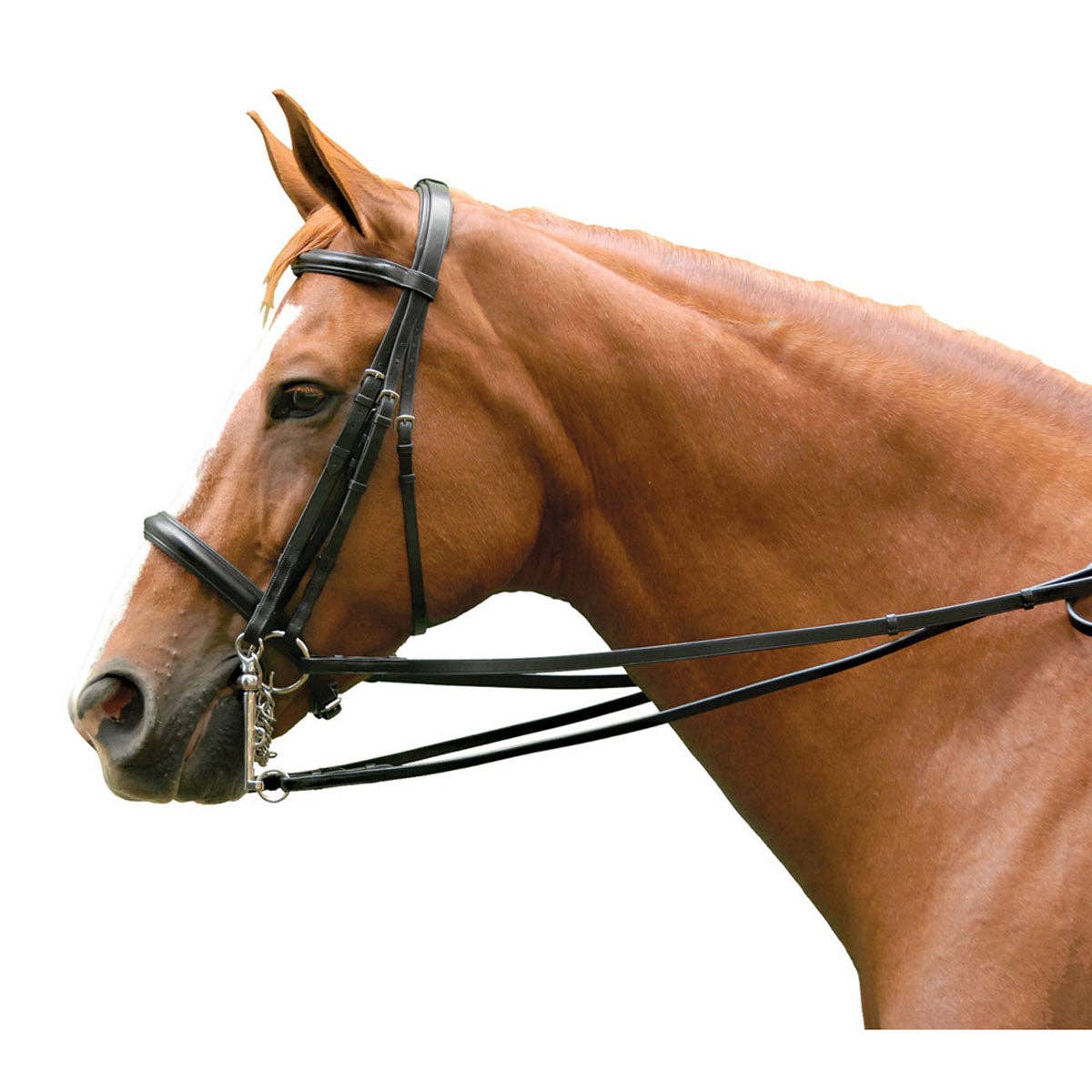 Intrepid International - Exselle Elite Plain Raised Double Dressage Bridle - Black