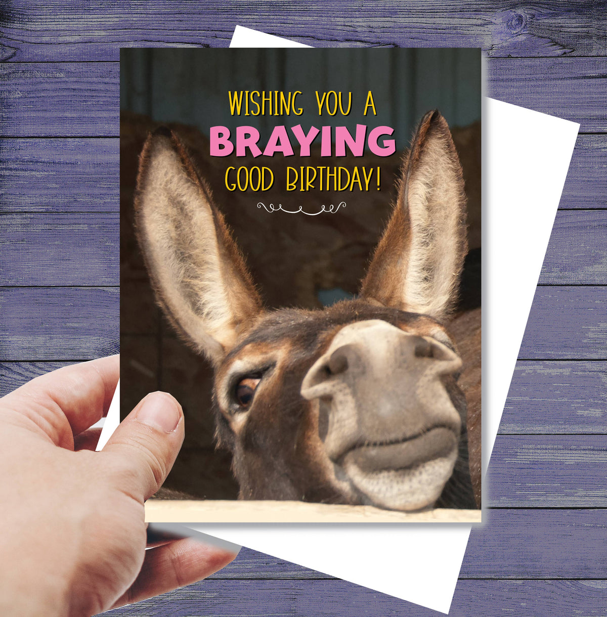 Horse Hollow Press - Donkey Birthday Card