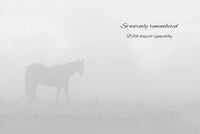 Horse Hollow Press - Horse Sympathy Greeting Card | So special... | Horse in Mist