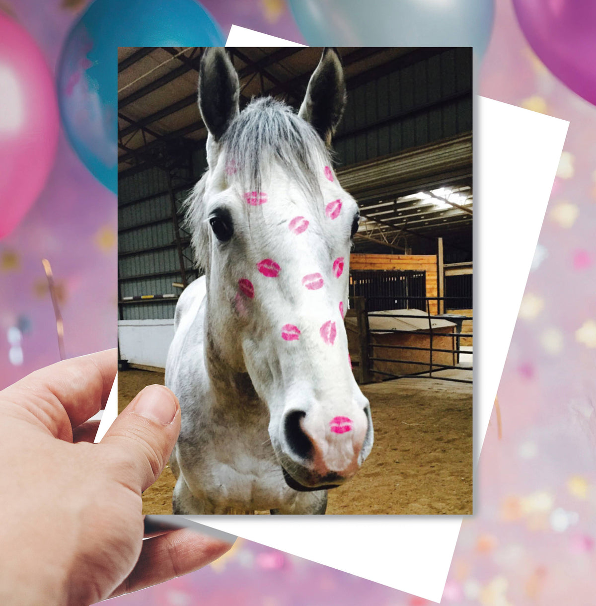 Horse Hollow Press - Horse Birthday Card | Gray & Kisses
