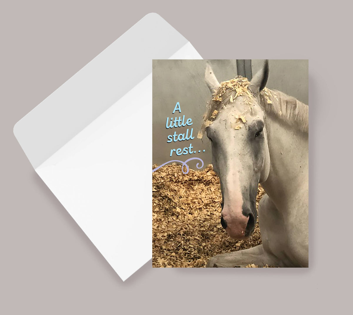 Horse Hollow Press - Horse Get Well Card | Stall Rest