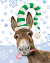 Horse Hollow Press - Donkey Boxed Christmas Cards / Candy Cane / 8 Holiday Cards