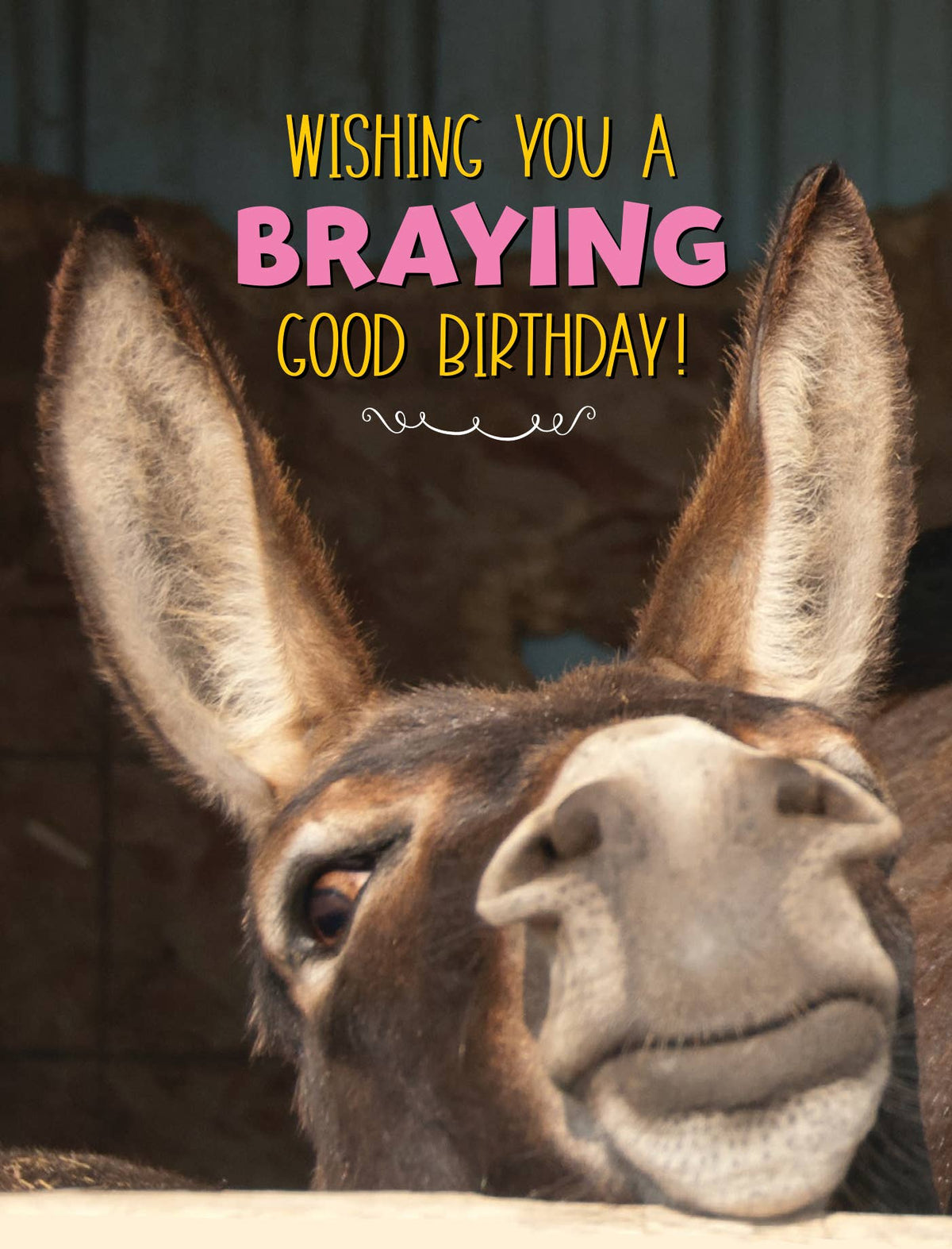 Horse Hollow Press - Donkey Birthday Card