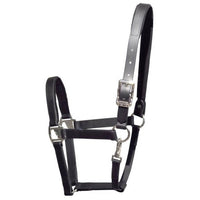 Tekna Padded Nose 1" Halter