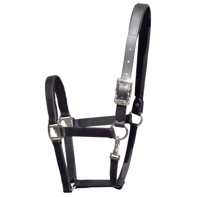 Tekna Padded Nose 1" Halter