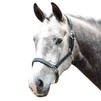 Tekna Padded Nose 1" Halter