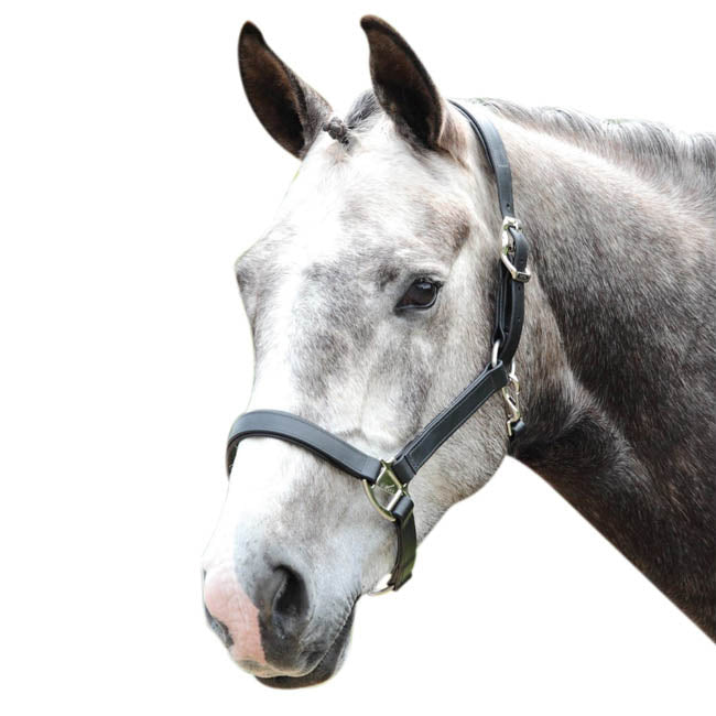 Tekna Padded Nose 1" Halter