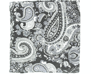 Wild Rags Silk