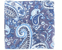 Wild Rags Silk