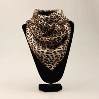 Wild Rags Silk