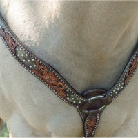 Dark Flash Arizona Flower Breast Collar