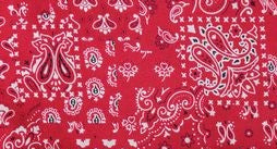 100% Silk Scarf Patterened
